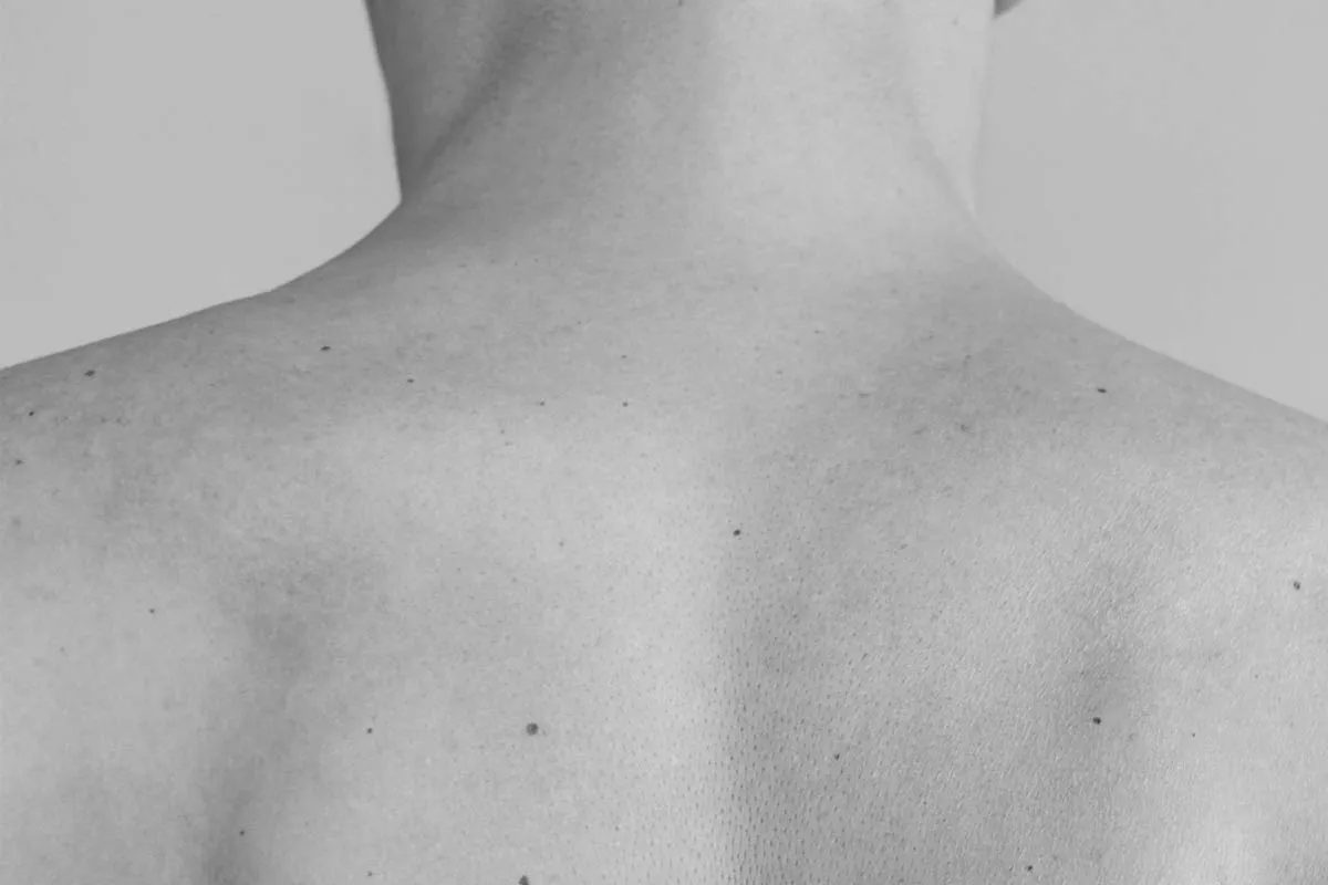 The portrait of a person